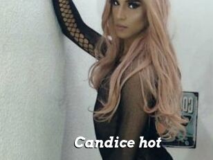 Candice_hot