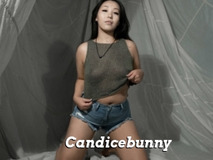 Candicebunny