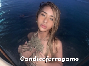 Candiceferragamo