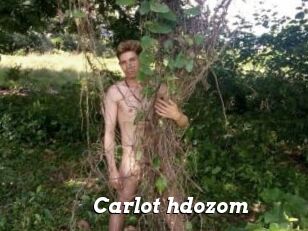 Carlot_hdozom