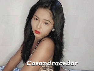 Casandracedar