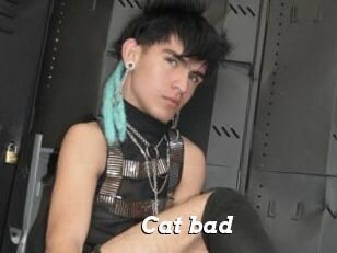 Cat_bad