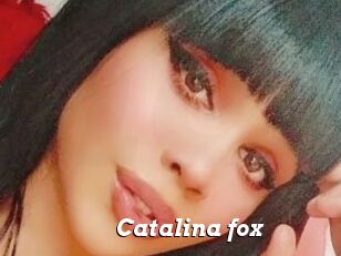 Catalina_fox