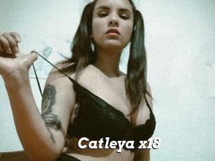 Catleya_x18