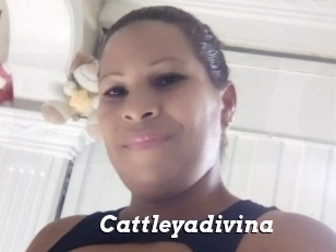 Cattleyadivina