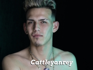 Cattleyanrey