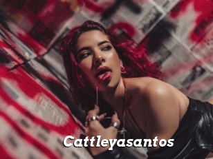 Cattleyasantos