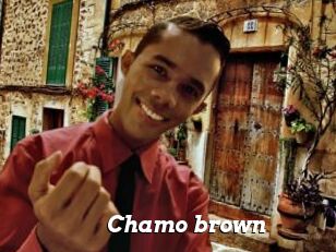 Chamo_brown