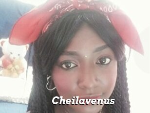 Cheilavenus