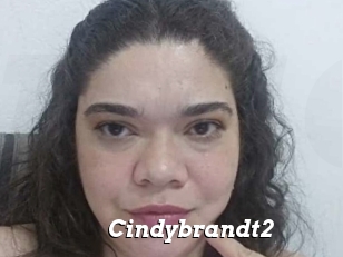 Cindybrandt2