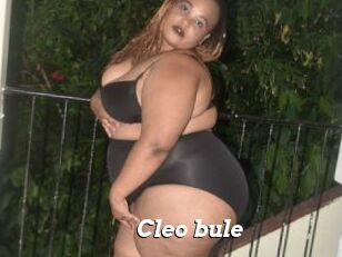 Cleo_bule