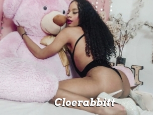 Cloerabbitt