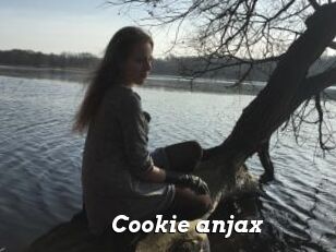 Cookie_anjax