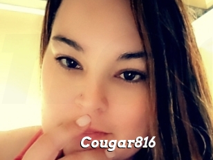 Cougar816