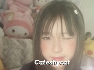 Cuteshycat