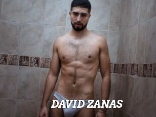 DAVID_ZANAS