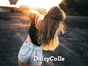 DaisyColle