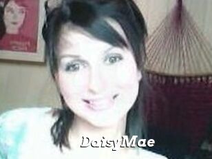 Daisy_Mae