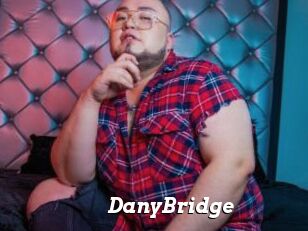 DanyBridge