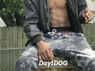 Day1DOG