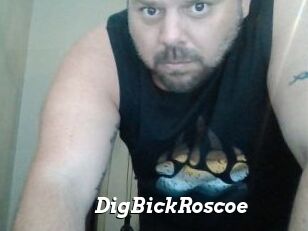 DigBickRoscoe