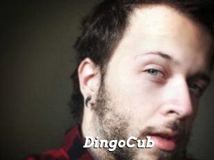 DingoCub