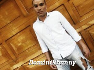 Dominikbunny