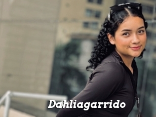 Dahliagarrido