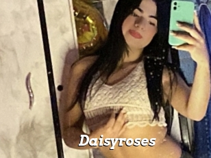 Daisyroses