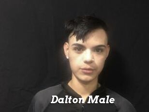 Dalton_Male