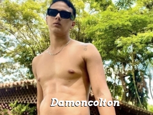 Damoncolton