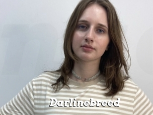 Darlinebreed