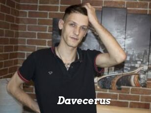 Davecerus