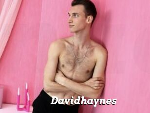 Davidhaynes