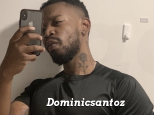 Dominicsantoz