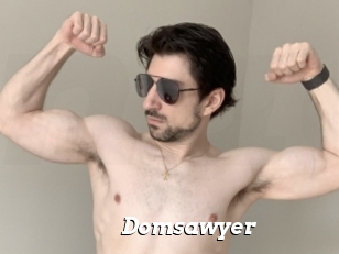 Domsawyer