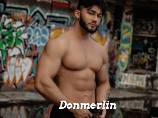 Donmerlin