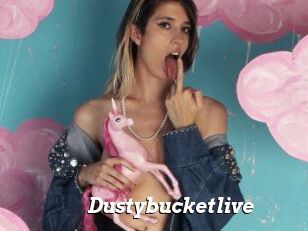 Dustybucketlive