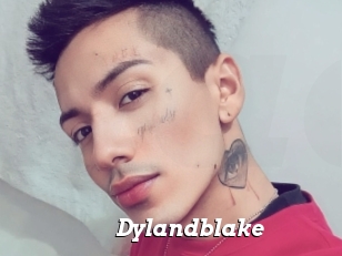 Dylandblake