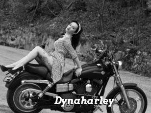 Dynaharley