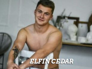 ELFIN_CEDAR