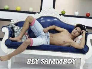 ELY_SAMMBOY