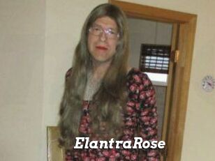 Elantra_Rose