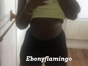 Ebony_flamingo