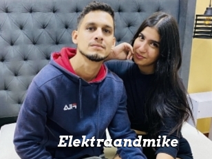 Elektraandmike