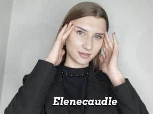 Elenecaudle