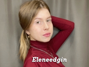 Eleneedgin