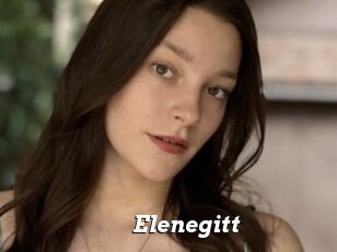 Elenegitt