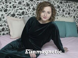 Elinmagnetic