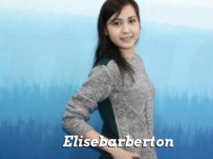 Elisebarberton